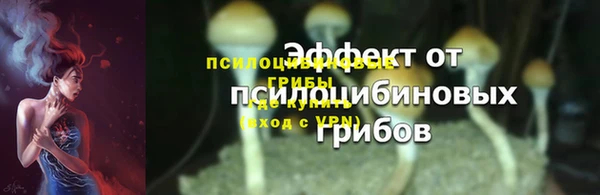 мет Аркадак