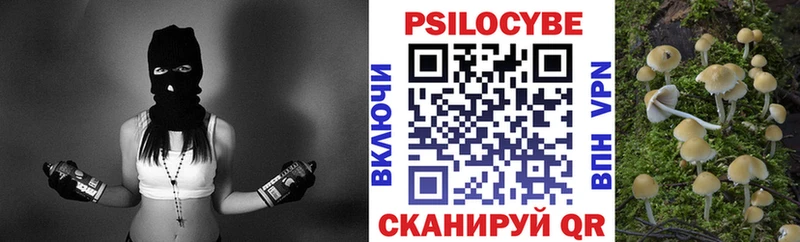 Галлюциногенные грибы мухоморы Купить где Орехово-Зуево