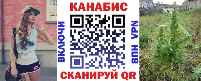 Бошки марихуана Amnesia  Купить закладки  Орехово-Зуево 